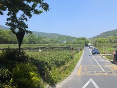 -中国茶叶博物馆(双峰馆区)