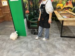 -神奇动物撸宠馆·羊驼·小浣熊·异宠(豫园店)