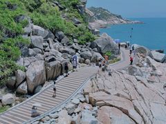 -广东惠东海龟国家级自然保护区