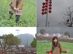 -红山村