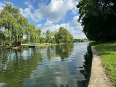 -上海共青森林公园