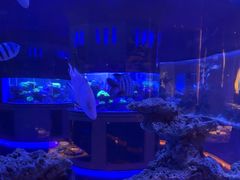 -上和臻品中国菜(花园街店)