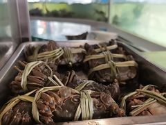 -品鲜村农家菜·阳澄湖大闸蟹(总店)