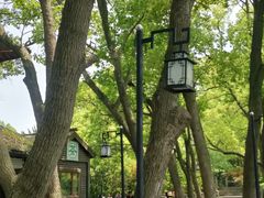 -白马涧龙池景区