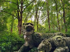 -虎跑公园