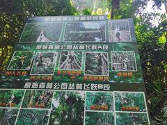 -西双版纳原始森林公园