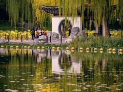 -陶然亭公园