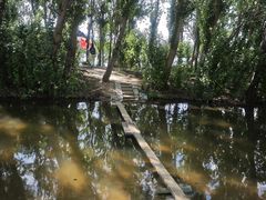 -长白岛森林公园