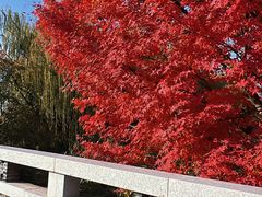 -昆山城市生态森林公园