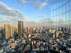 -六本木新城展望台(东京城市景观)