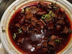 -重庆长寿碧桂园凤悦凤凰酒店