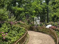 -共青国家森林公园-售票处