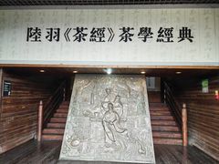 -大唐贡茶院