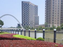 -陈家山荷花公园