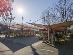 -合肥滨湖国家森林公园