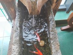 -兵哥豌豆面(雅颂居店)