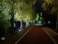 -艾溪湖湿地公园