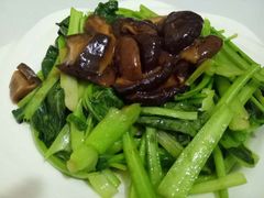 -煲来饱去冷水鱼