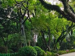 -乌山风景区