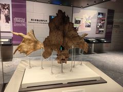 -北京周口店北京人遗址博物馆