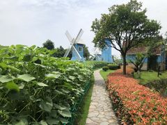-宜兴龙背山森林公园