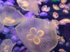 -多彩贵州城极地海洋世界