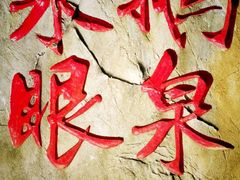 -靖西鹅泉风景区