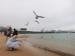 -海驴岛(荣成市)