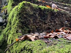-藏龙百瀑风景区