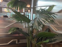 -湊湊火锅·茶憩(皇姑万象汇店)