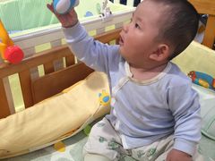 -洪湖家庭农场·团建·露营·会议