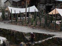 -MOJ coffee(瓯海泽雅水碓坑店)