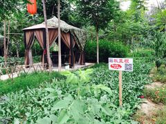 iphone_upload_pic-草根堂农场