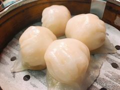 虾饺-点点心点心专门店(湾仔店)