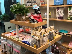 -宠物梦想家(日月豪庭店)