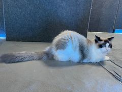 -零纪元VR体验馆·桌游(黄浦店)