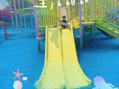 -海合安成都极地海洋公园