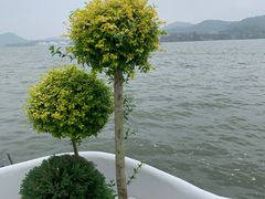 -东钱湖小普陀景区