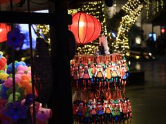 -河内西湖莲花自助餐厅