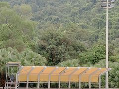 -大埔公路-马料水段香港中文大学(公交站)