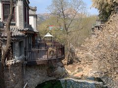 -老张烤羊(王哥庄店)