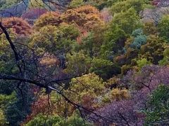 -叠溪松坪沟景区