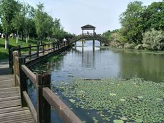 -艾溪湖湿地公园