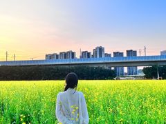 -光明小镇欢乐田园