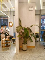 -3AM·S HAIR SALON烫发染发接发