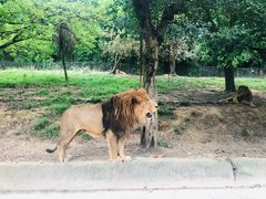 -乐和乐都主题乐园