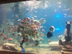-梦幻海洋王国(吾悦广场张家港店)