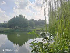 -尚贤河湿地