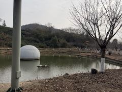 -南北湖风景区