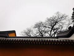 -宝通禅寺
